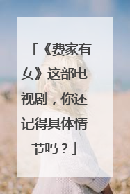 《费家有女》这部电视剧，你还记得具体情节吗？