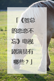 《贺总的恋恋不忘》电视剧演员有哪些？