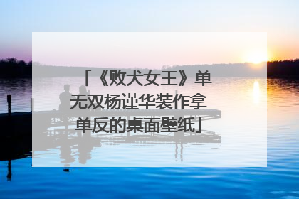 《败犬女王》单无双杨谨华装作拿单反的桌面壁纸