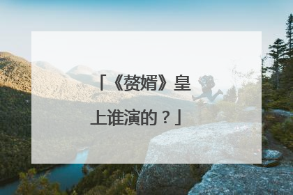 《赘婿》皇上谁演的？