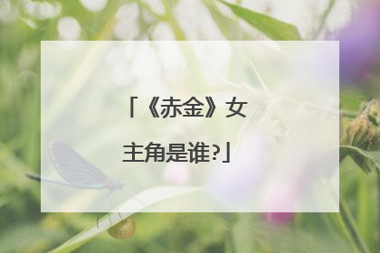 《赤金》女主角是谁?