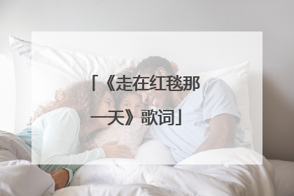 《走在红毯那一天》歌词