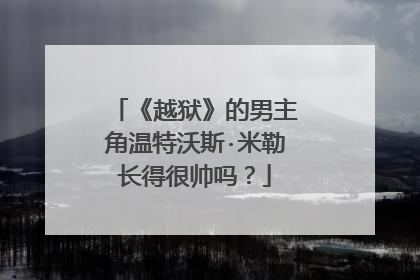 《越狱》的男主角温特沃斯·米勒长得很帅吗？