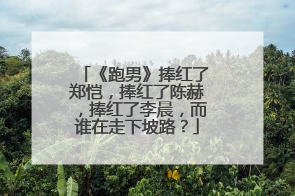 《跑男》捧红了郑恺,捧红了陈赫,捧红了李晨,而谁在走下坡路?