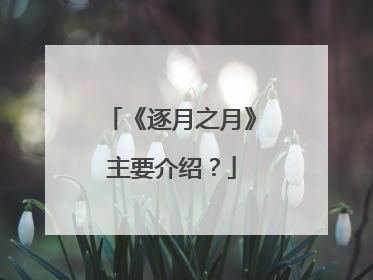 《逐月之月》主要介绍?