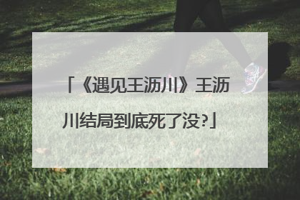 《遇见王沥川》王沥川结局到底死了没?