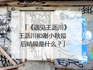 《遇见王沥川》王沥川和谢小秋最后结局是什么?