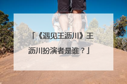 《遇见王沥川》王沥川扮演者是谁？