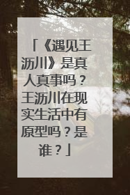 《遇见王沥川》是真人真事吗?王沥川在现实生活中有原型吗?是谁?