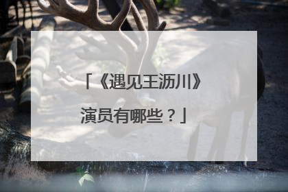 《遇见王沥川》演员有哪些?