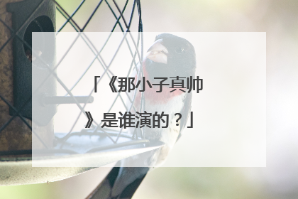 《那小子真帅》是谁演的？