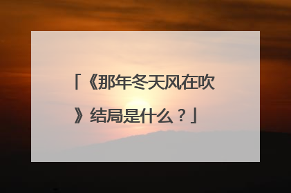 《那年冬天风在吹》结局是什么?
