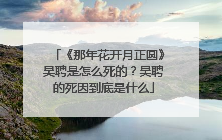 《那年花开月正圆》吴聘是怎么死的?吴聘的死因到底是什么