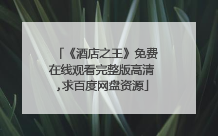 《酒店之王》免费在线观看完整版高清,求百度网盘资源