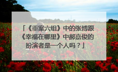 《重案六组》中的张博跟《幸福在哪里》中郝嘉俊的扮演者是一个人吗?