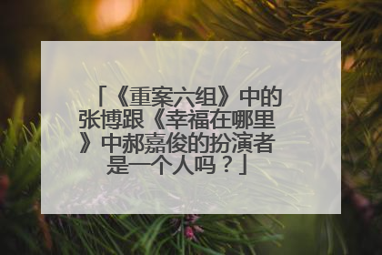 《重案六组》中的张博跟《幸福在哪里》中郝嘉俊的扮演者是一个人吗？