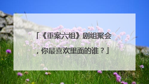 《重案六组》剧组聚会，你最喜欢里面的谁？