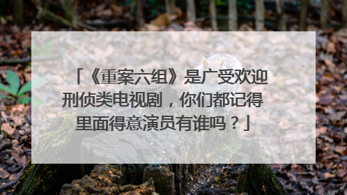 《重案六组》是广受欢迎刑侦类电视剧，你们都记得里面得意演员有谁吗？