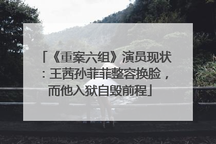 《重案六组》演员现状:王茜孙菲菲整容换脸,而他入狱自毁前程
