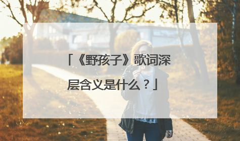 《野孩子》歌词深层含义是什么?