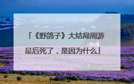 《野鸽子》大结局周游最后死了，是因为什么