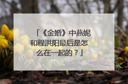《金婚》中燕妮和程洪阳最后是怎么在一起的?
