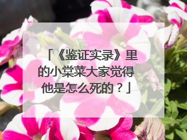 《鉴证实录》里的小棠菜大家觉得他是怎么死的？