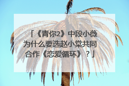 《青你2》中段小薇为什么要选赵小棠共同合作《恋爱循环》？