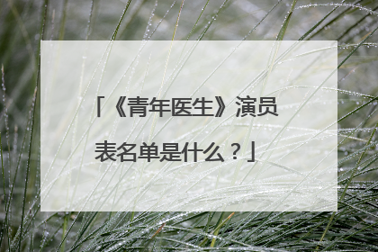 《青年医生》演员表名单是什么？