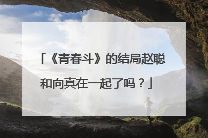 《青春斗》的结局赵聪和向真在一起了吗?