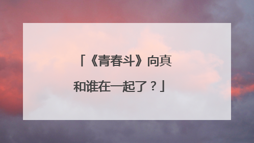 《青春斗》向真和谁在一起了?