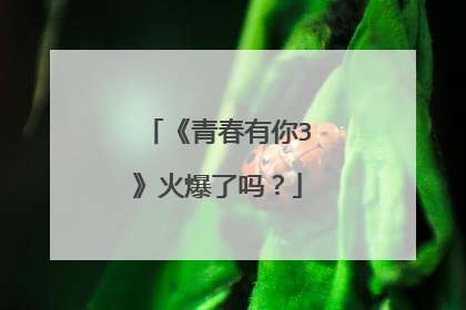 《青春有你3》火爆了吗？
