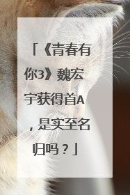 《青春有你3》魏宏宇获得首A,是实至名归吗?