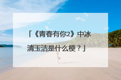 《青春有你2》中冰清玉洁是什么梗?