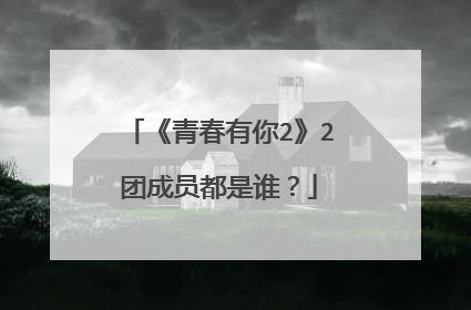 《青春有你2》2团成员都是谁？