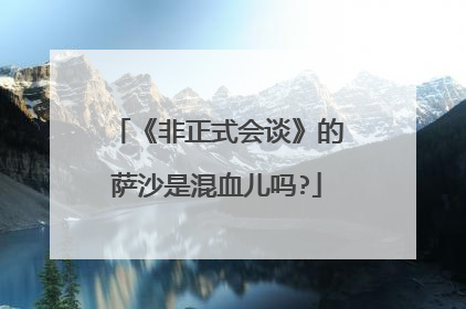 《非正式会谈》的萨沙是混血儿吗?