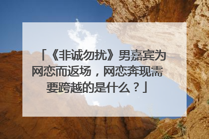 《非诚勿扰》男嘉宾为网恋而返场,网恋奔现需要跨越的是什么?