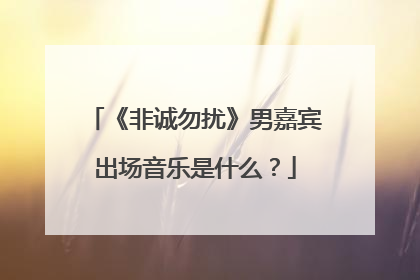 《非诚勿扰》男嘉宾出场音乐是什么?