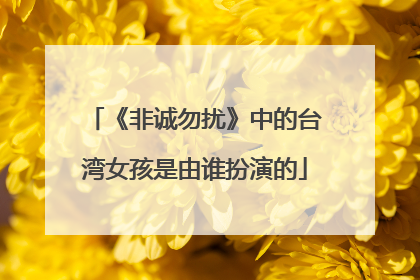 《非诚勿扰》中的台湾女孩是由谁扮演的