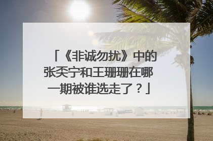 《非诚勿扰》中的张奀宁和王珊珊在哪一期被谁选走了?
