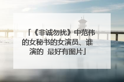 《非诚勿扰》中范伟的女秘书的女演员、谁演的 最好有图片