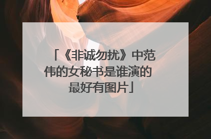 《非诚勿扰》中范伟的女秘书是谁演的 最好有图片