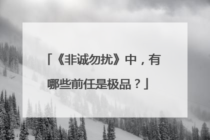 《非诚勿扰》中，有哪些前任是极品？