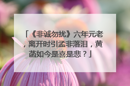 《非诚勿扰》六年元老,离开时引孟非落泪,黄菡如今是喜是悲?