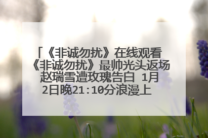 《非诚勿扰》在线观看 《非诚勿扰》最帅光头返场 赵瑞雪遭玫瑰告白 1月2日晚21:10分浪漫上演有什么期待?