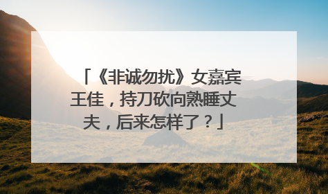 《非诚勿扰》女嘉宾王佳,持刀砍向熟睡丈夫,后来怎样了?