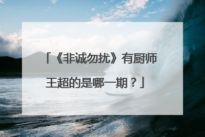 《非诚勿扰》有厨师王超的是哪一期?