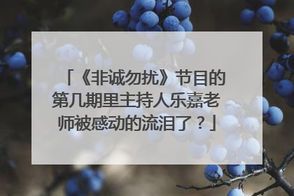 《非诚勿扰》节目的第几期里主持人乐嘉老师被感动的流泪了？