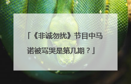 《非诚勿扰》节目中马诺被骂哭是第几期？