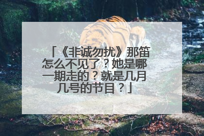 《非诚勿扰》那笛怎么不见了？她是哪一期走的？就是几月几号的节目？